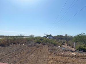 Terreno en Venta sobre Carretera Topolobampo - Aeropuerto, Los Mochis Sinaloa
