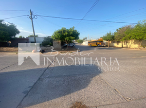 Terreno en equina en Renta Col. Insurgentes  Los Mochis Sinaloa