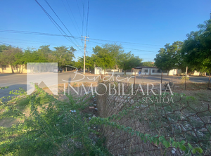 Terreno en equina en Renta Col. Insurgentes  Los Mochis Sinaloa