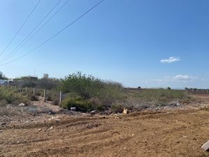 Terreno en Venta sobre Carretera Topolobampo - Aeropuerto, Los Mochis Sinaloa