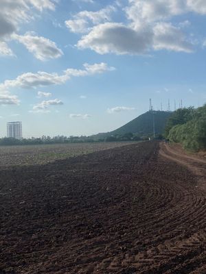 Terreno en Venta Los Mochis Sinaloa