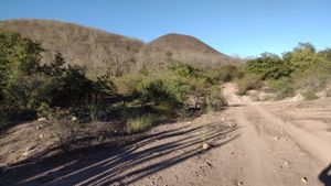 Terreno en Venta Sinaloa, Sinaloa