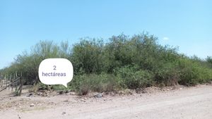 2 hectáreas en Los Mochis, Sinaloa