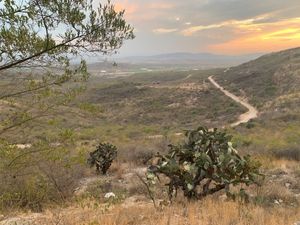 Terreno en venta la Higuera