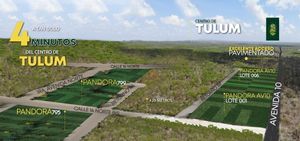 Pandora Avenida 10: TULUM, terreno de 488 m2, Tu Inversión Estratégica en Tulum