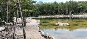 Desarrollo 528 Tulum, Lotes Eco Residenciales Rodeados de Naturaleza