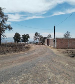 TERRENO EN LOS PINOS