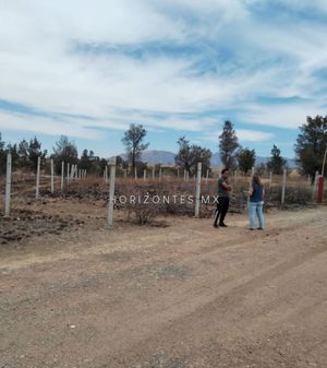 TERRENO EN LOS PINOS