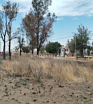 TERRENO EN LOS PINOS