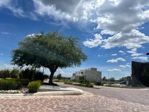 Terreno Minas de Plata