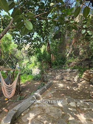 GREEN PROPERTY IN THE HEART OF GUANAJUATO'S HISTORIC CENTER