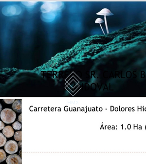 Terreno 1 Hectarea  Carr. Guanajuato/ Dolores Hidalgo