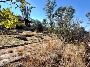 CASA y TERRENO CAMPESTRE  5,000 MTS