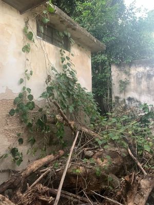 Casa para renovar en el centro dé Merida