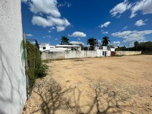 Terreno en renta cerca del sky city