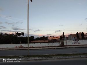 TERRENO EN VENTA SAN PEDRO CHOLUL