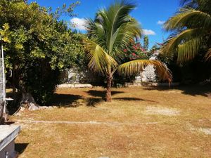 *Hermosa casa en renta en Mérida