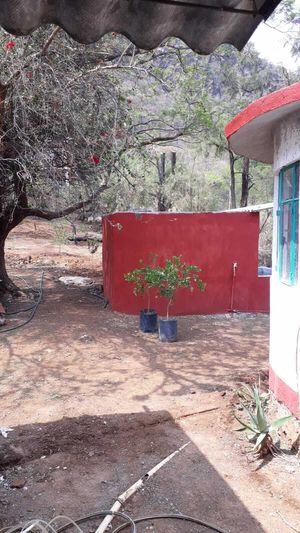 Venta - Terreno - Tepoztlan - Morelos