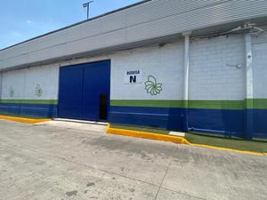 BODEGA EN RENTA EN PARQUE INDUSTRIAL, TLALNEPANTLA