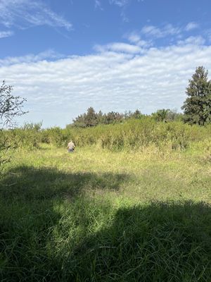 TERRENO DE SUPERFICIE PLANA Y GRAN UBICACION PARA PROYECTO INDUSTRIAL