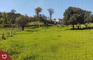Terreno campestre en venta cerca de Xalapa; carretera Jilotepec - Tlacolulan