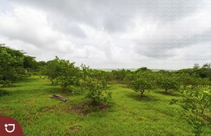 Terreno a la venta en El Chico, Veracruz con vista a la laguna