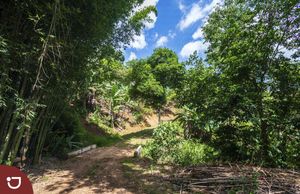 Finca a la venta en zona cafetalera de Teocelo, Veracruz