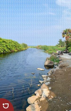 Terreno a la venta frente al mar cerca de El Farallón en Palma Sola, Veracruz