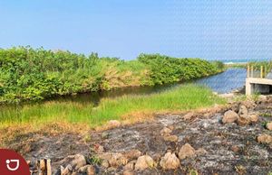 Terreno a la venta frente al mar cerca de El Farallón en Palma Sola, Veracruz