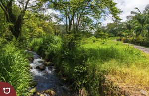 Terreno Campestre con cabaña y arroyo a la venta en Xico Ver.