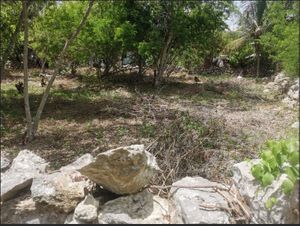 Terreno en venta – a 3 cuadras del Centro de Baca, Yucatán