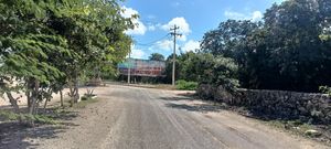 Lotes sobre Avenida Cumbres, cholul, Mérida Yucatán.