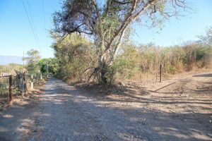 Predio Rústico en Venta en el Chivato, Villa de Álvarez