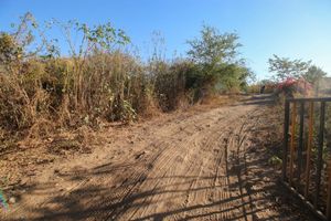 Predio Rústico en Venta en el Chivato, Villa de Álvarez