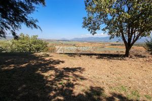 Rancho "El Jondable" en venta en San Marcos Jalisco