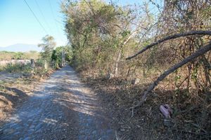 Predio Rústico en Venta en el Chivato, Villa de Álvarez