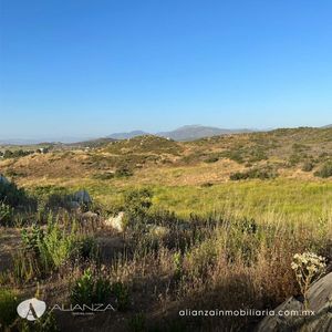 Terreno Colindando Con La Ruta Valle De Guadalupe