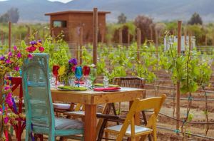 Terreno en Venta en Valle de Guadalupe a Espaldas de Casa Frida