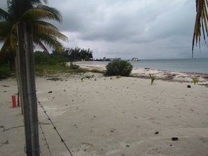terreno co frente de playa en isla mujeres