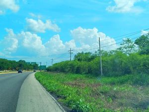 Terreno Carretera Merida-Campeche