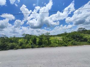 Terrenos varias medidas entrega inmediata a 100 m de la carretera a Progreso