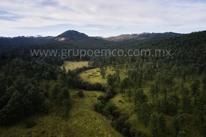 TERRENOS CAMPESTRE RESERVA SAN GREGORIO CONCEPCION DE BUENOS AIRES