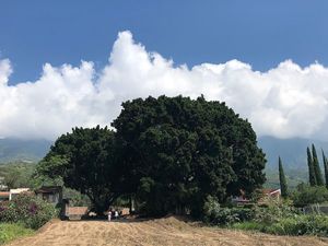 DEPARTAMENTO EN VENTA EN OLAS ALTAS, AJIJIC.