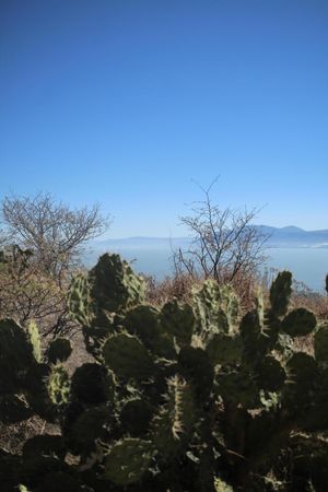 Lotes en Venta The Hills Adventure Park Con Vistas a Chapala- F9