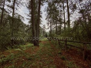 TERRENOS CAMPESTRE RESERVA SAN GREGORIO CONCEPCION DE BUENOS AIRES