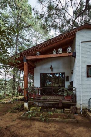 TERRENO CAMPESTRE  RESERVA SAN GREGORIO, CONCEPCIÓN DE BUENOS AIRES