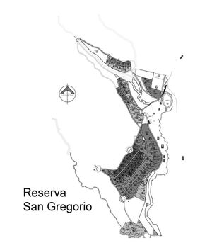 TERRENOS RIVERA SAN GREGORIO