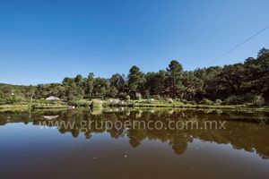 TERRENO CAMPESTRE  RESERVA SAN GREGORIO, CONCEPCIÓN DE BUENOS AIRES