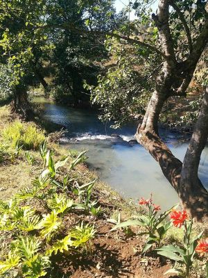 TERRENO EN VENTA EN FRACC. RIO VIVO, TAPALPA.