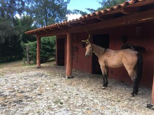 QUINTA EN ATEMAXAC DE BRIZUELA